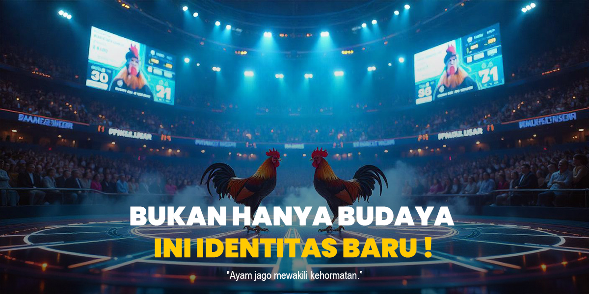 Mengenal Sabung Ayam: Sejarah, Aturan, dan Popularitasnya