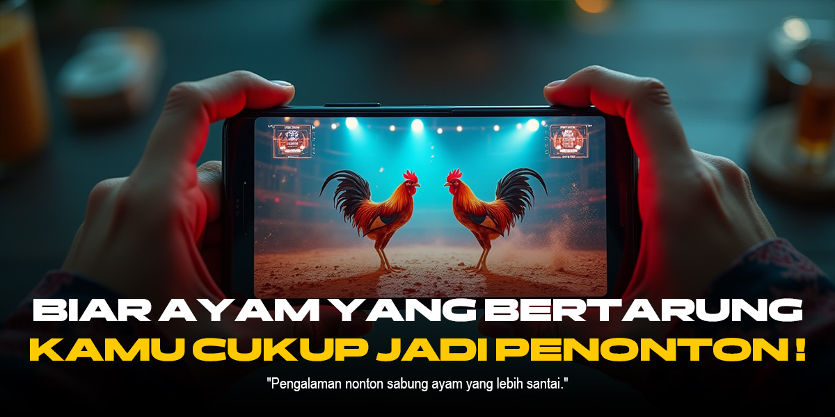 Sabung Ayam SV388: Adu Hebat Jenis Ayam Terbaik dan Peluang Taruhan