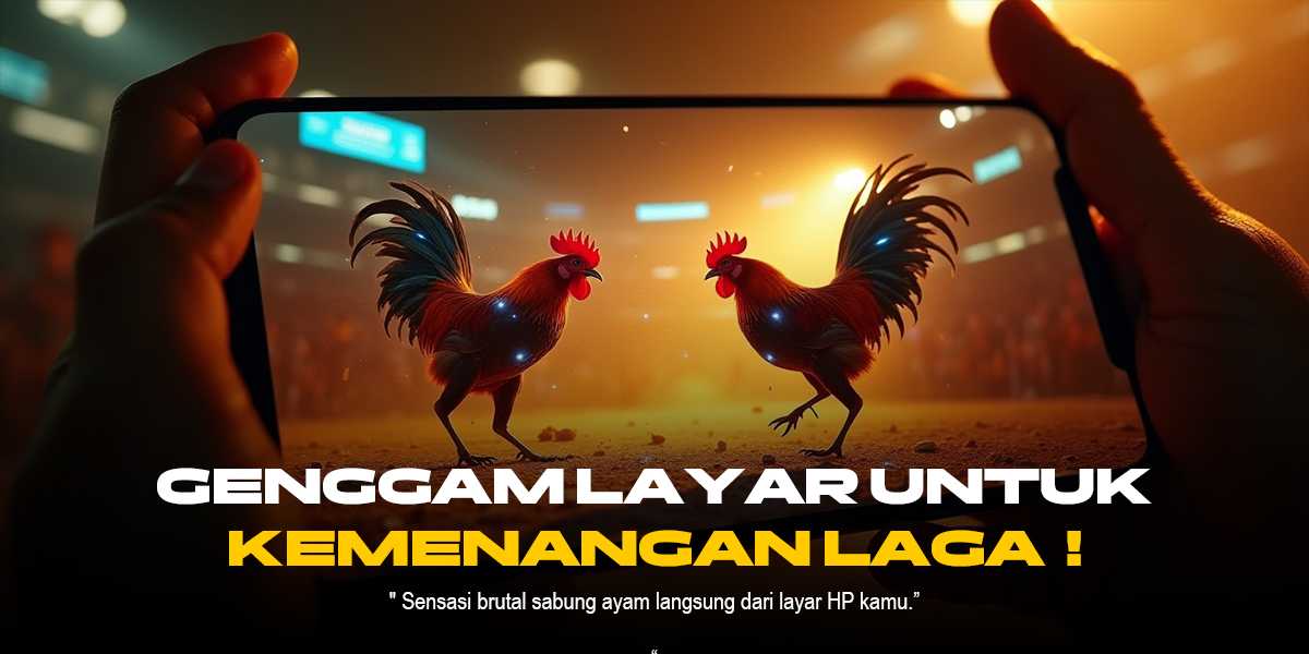 Mengenal Jenis Ayam Aduan Pada Sabung Ayam SV388